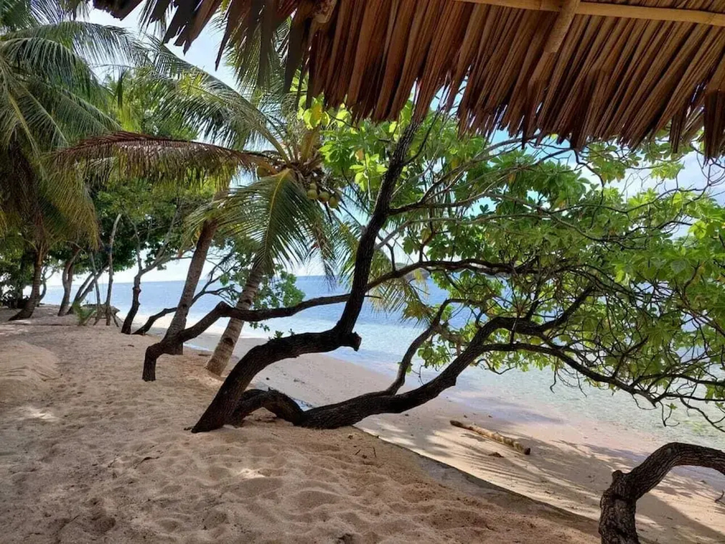 Wakatobi Patuno Resort by SAHID