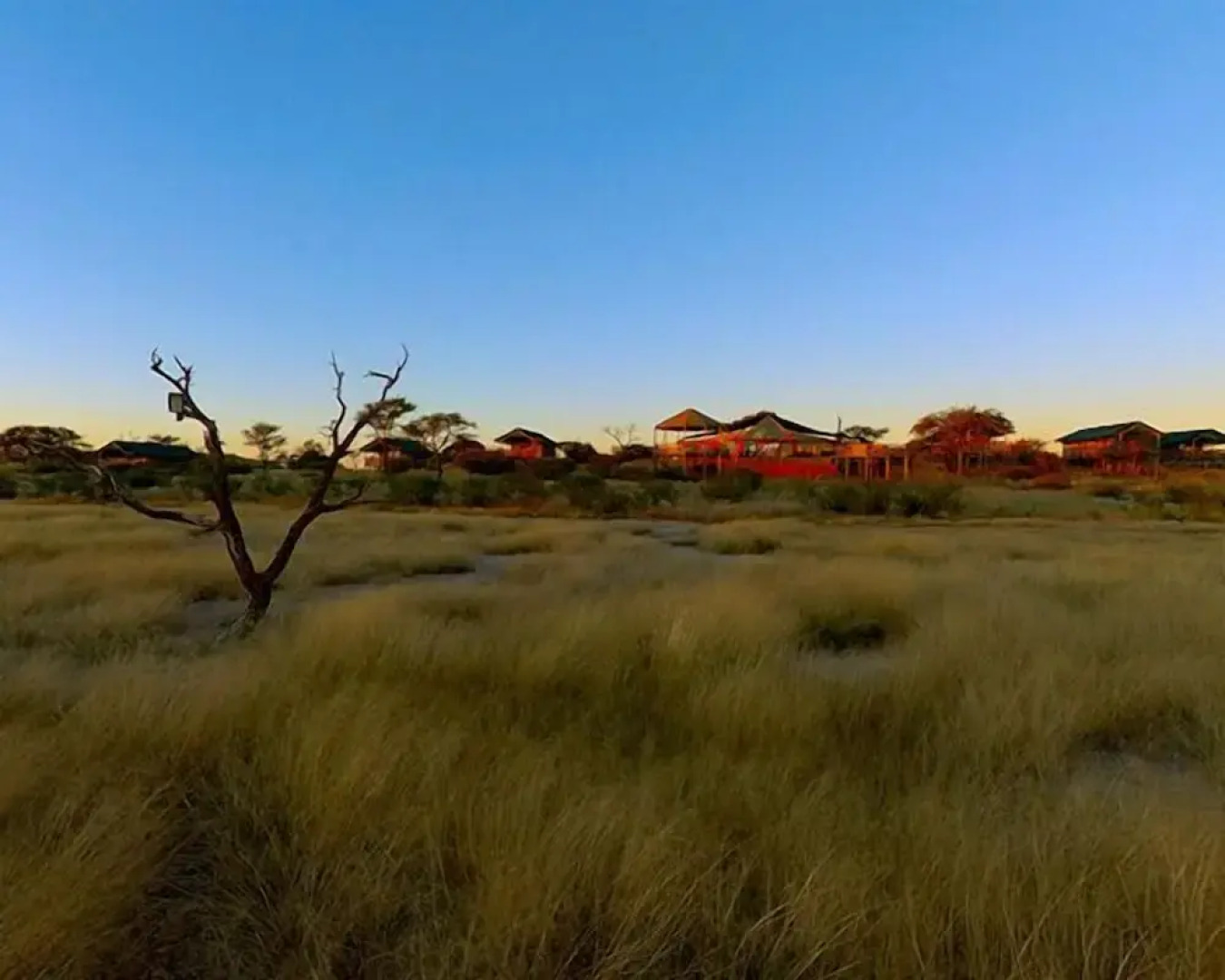Intu Africa Suricate Tented Kalahari Lodge