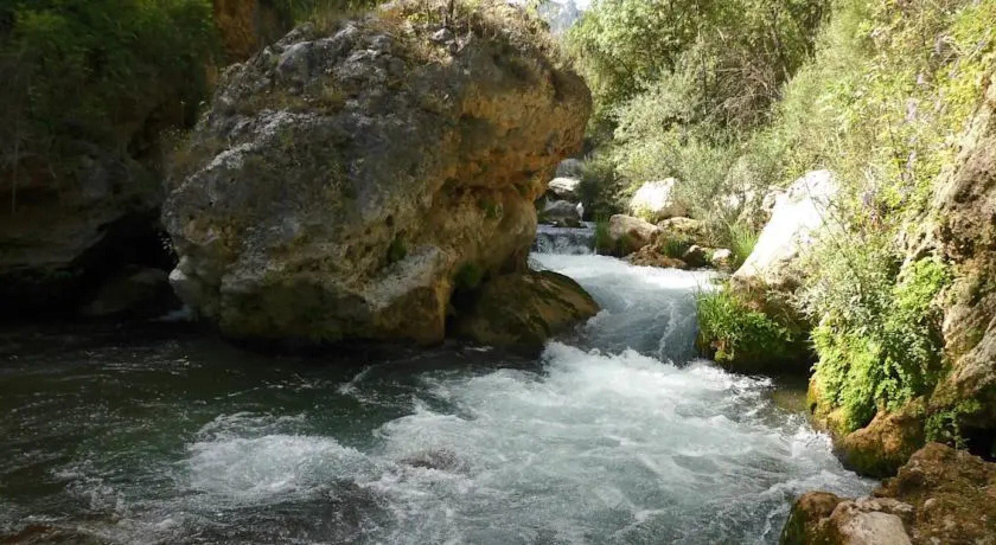 Apartamentos Río Madera