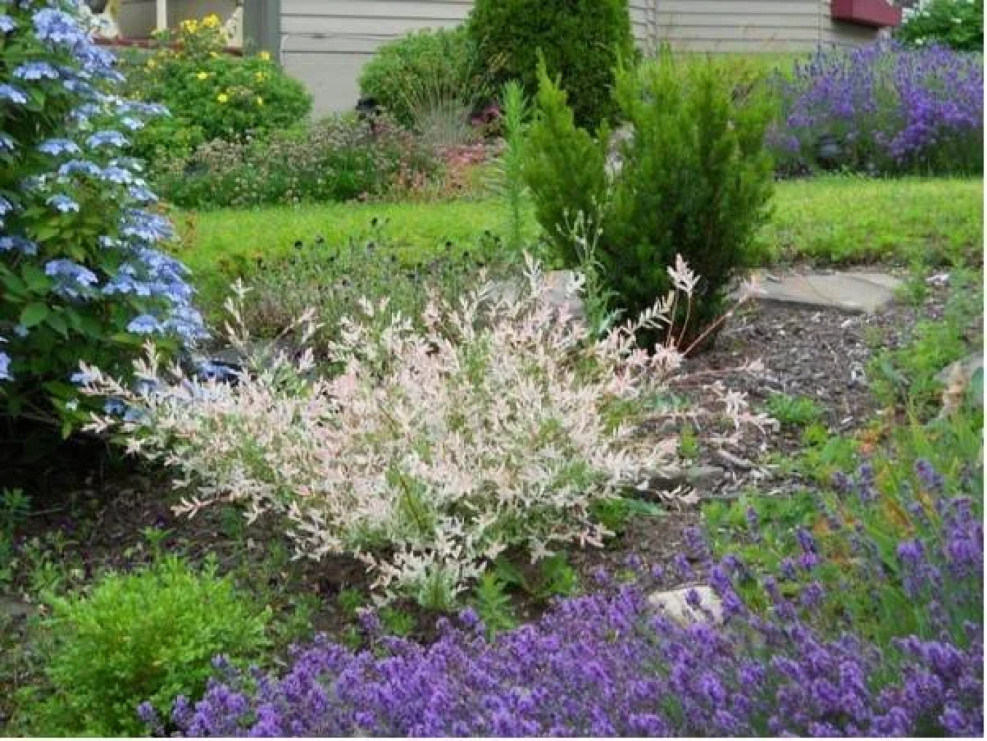 Heritage Home Bed & Breakfast