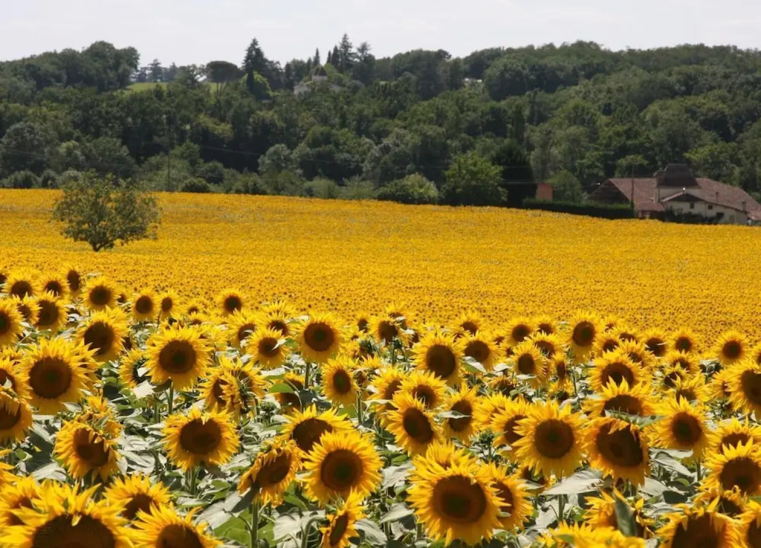 The Retreat at Le Grand Bois