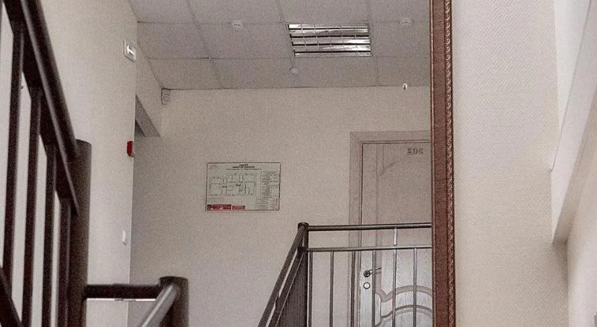 Планета Плюс