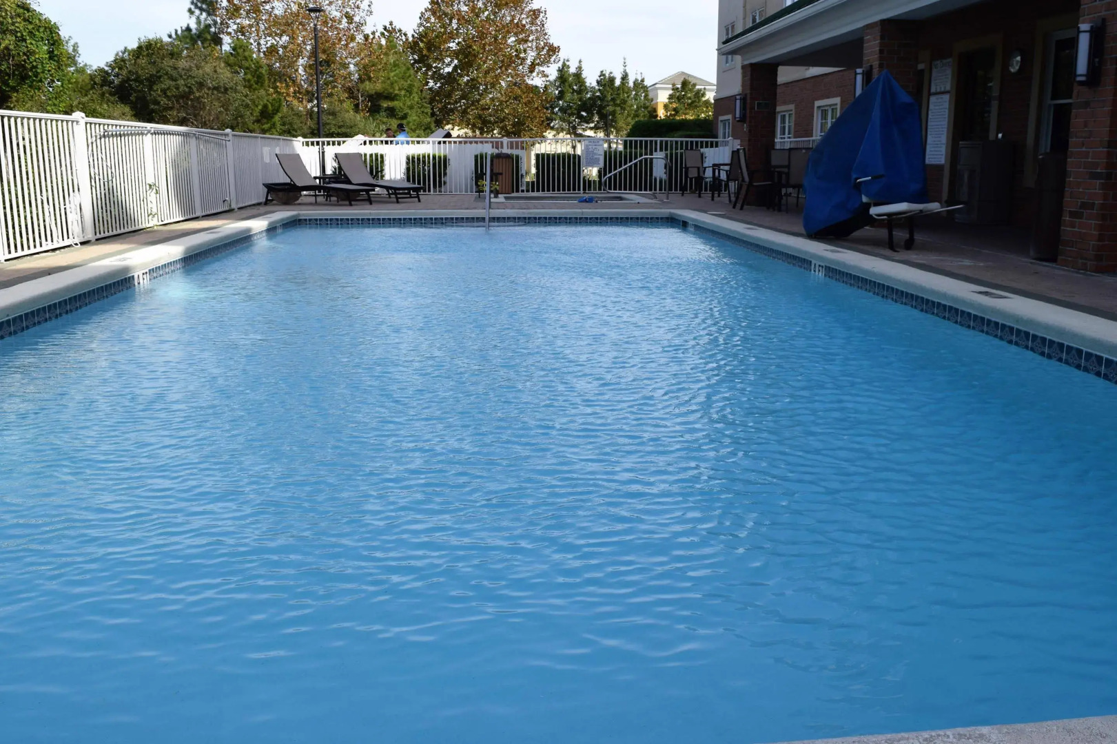 Spark by Hilton Destin