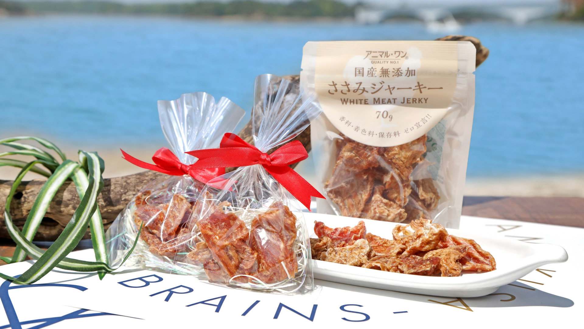 Pet Resort Brains Amakusa