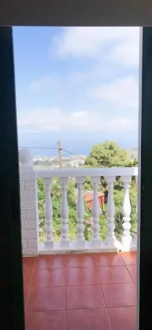 Los Viejitos en Firgas