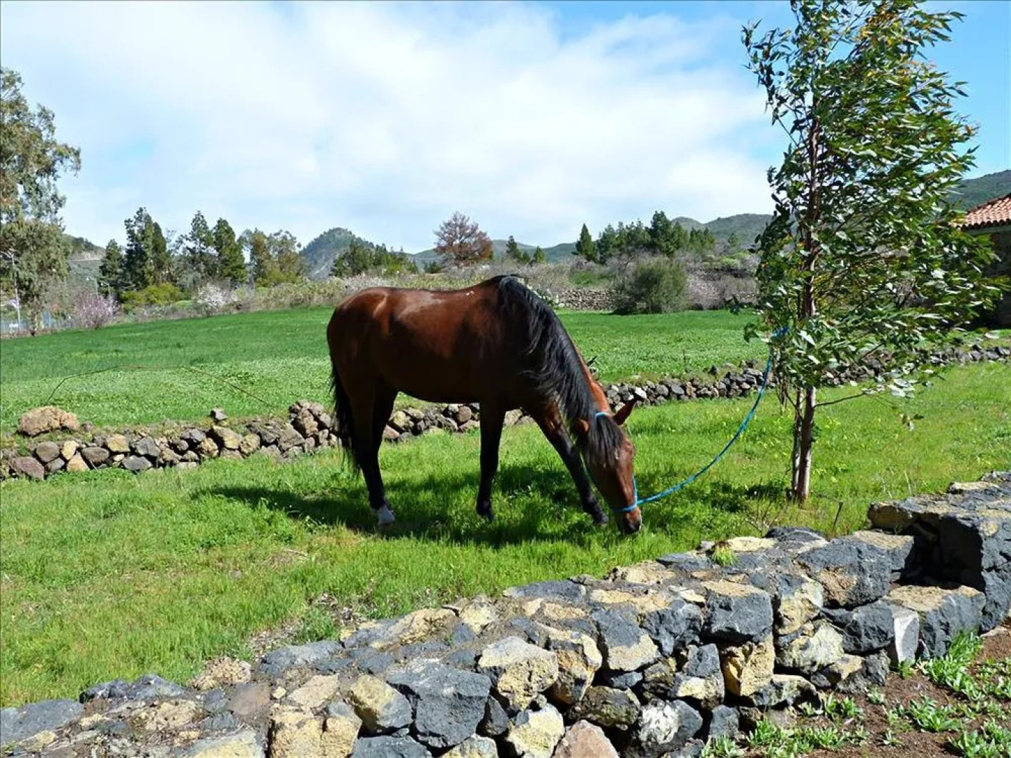 Hotel Señorio del Valle