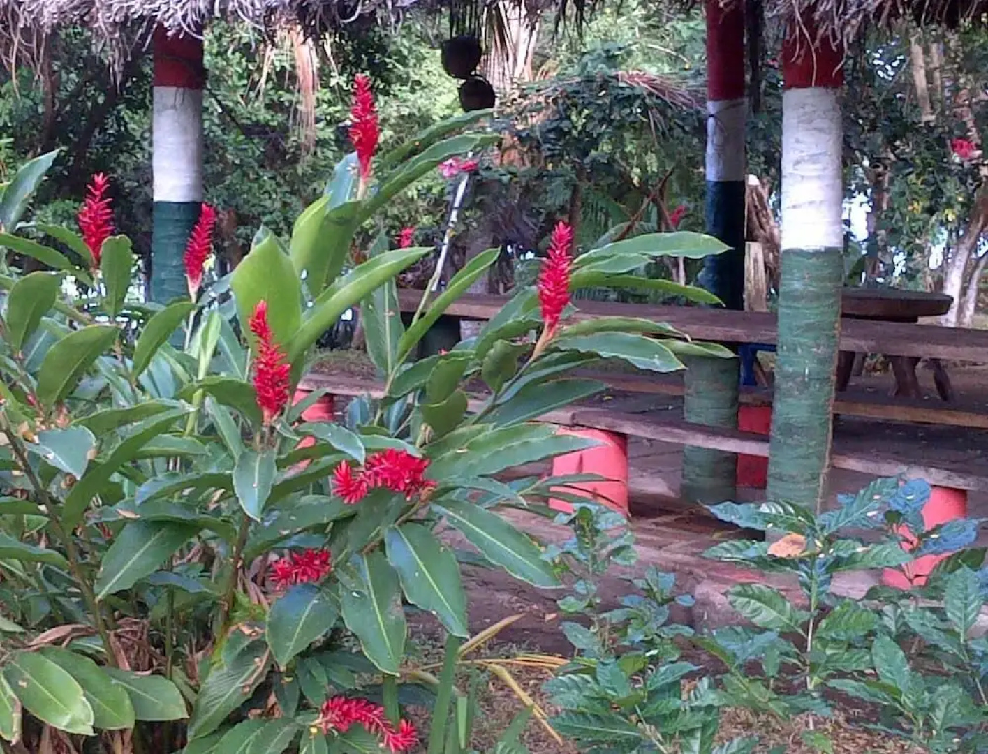 Hotel Ecológico Tierra Blanca