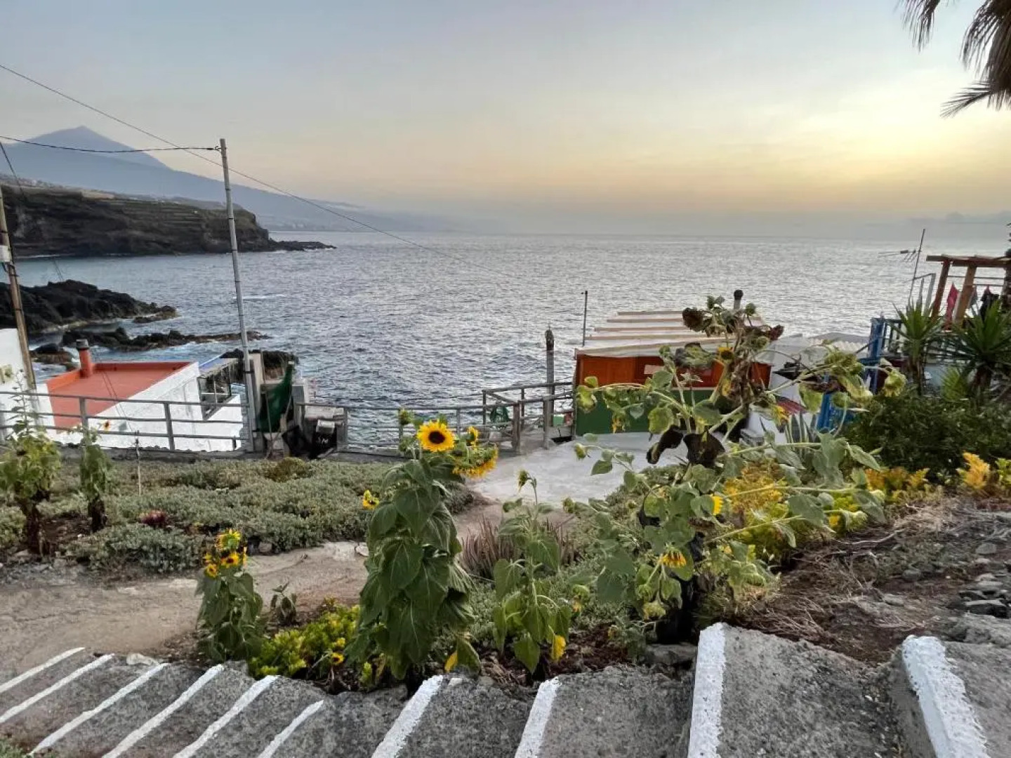 Trinimat Ferienhaus am Meer Teneriffa Nord 1