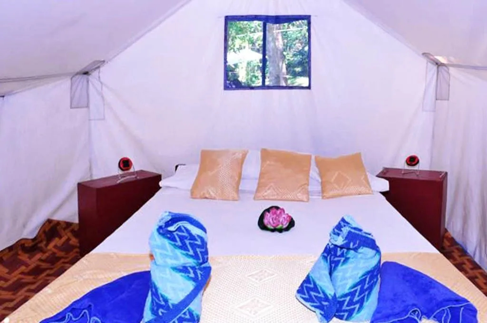 Dolphin Bay Divers Retreat