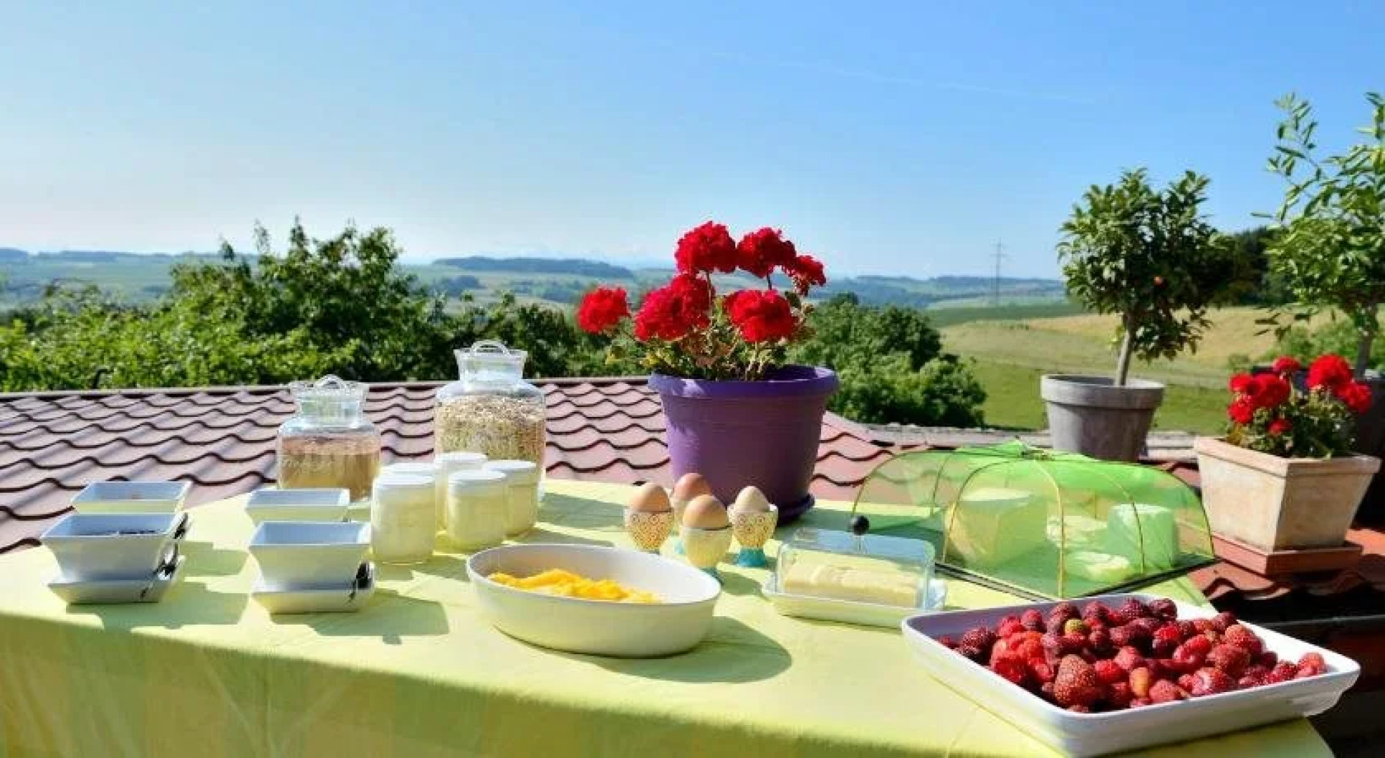 Cabane dans les arbres / Swin-golf de Cremin