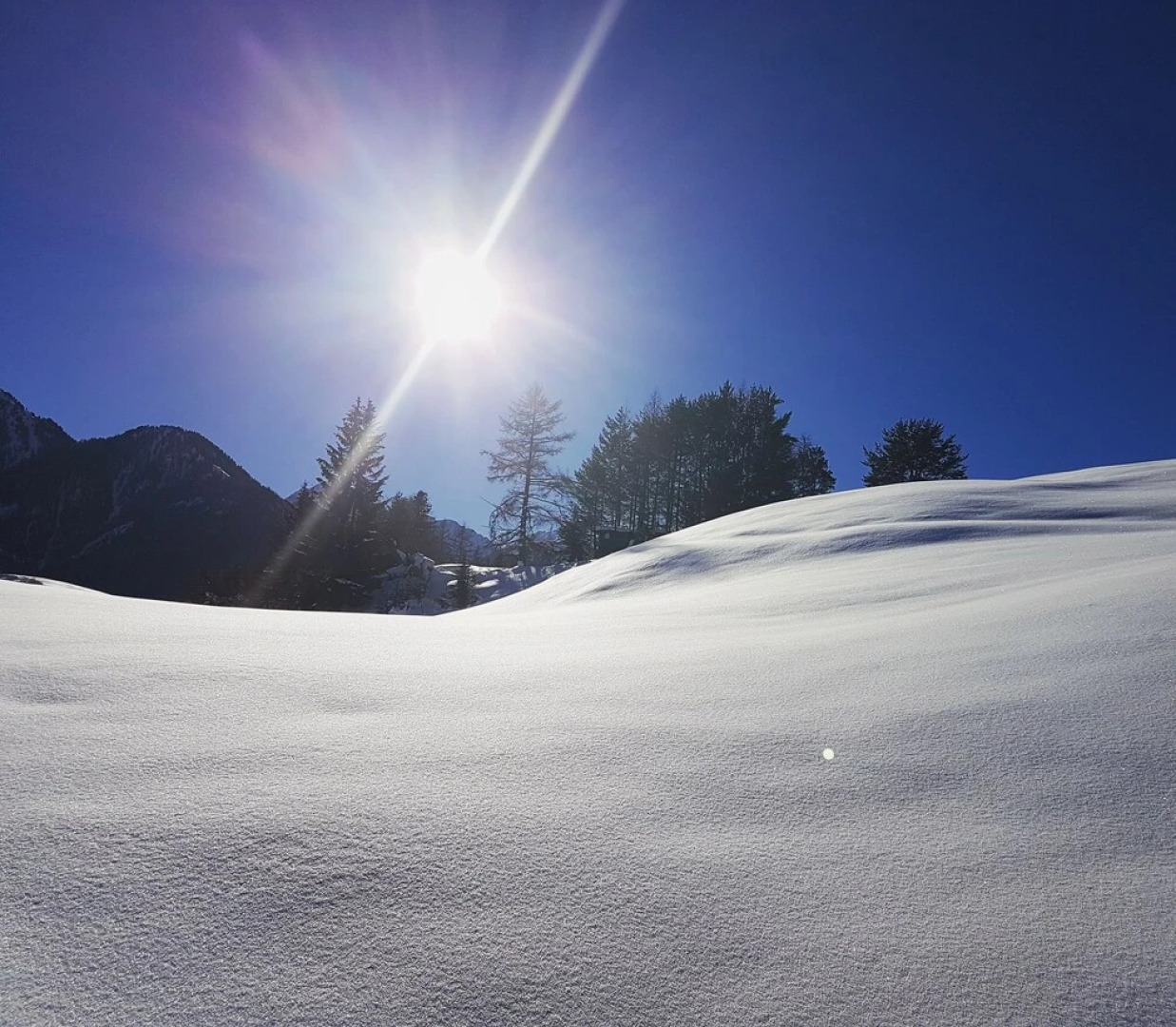 Wellness-Residenz Schalber