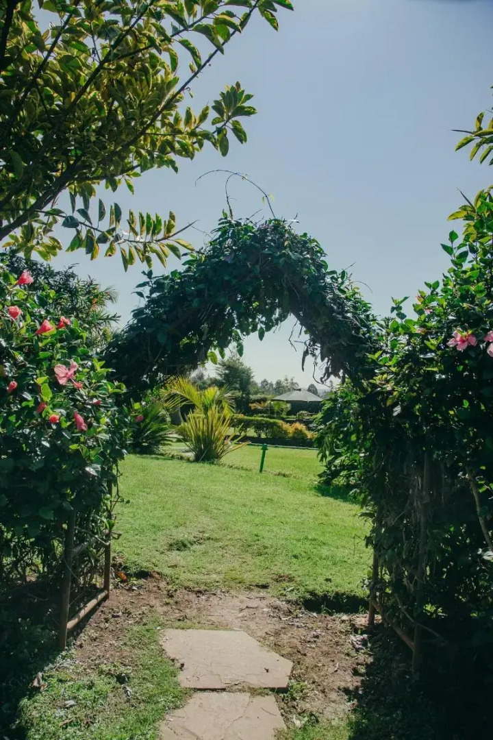 Sahara Gardens Bomet