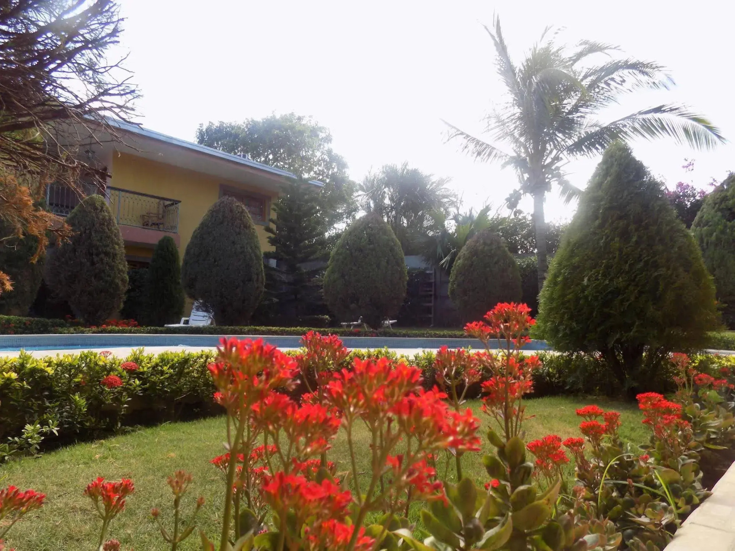 Hotel Los Pinos