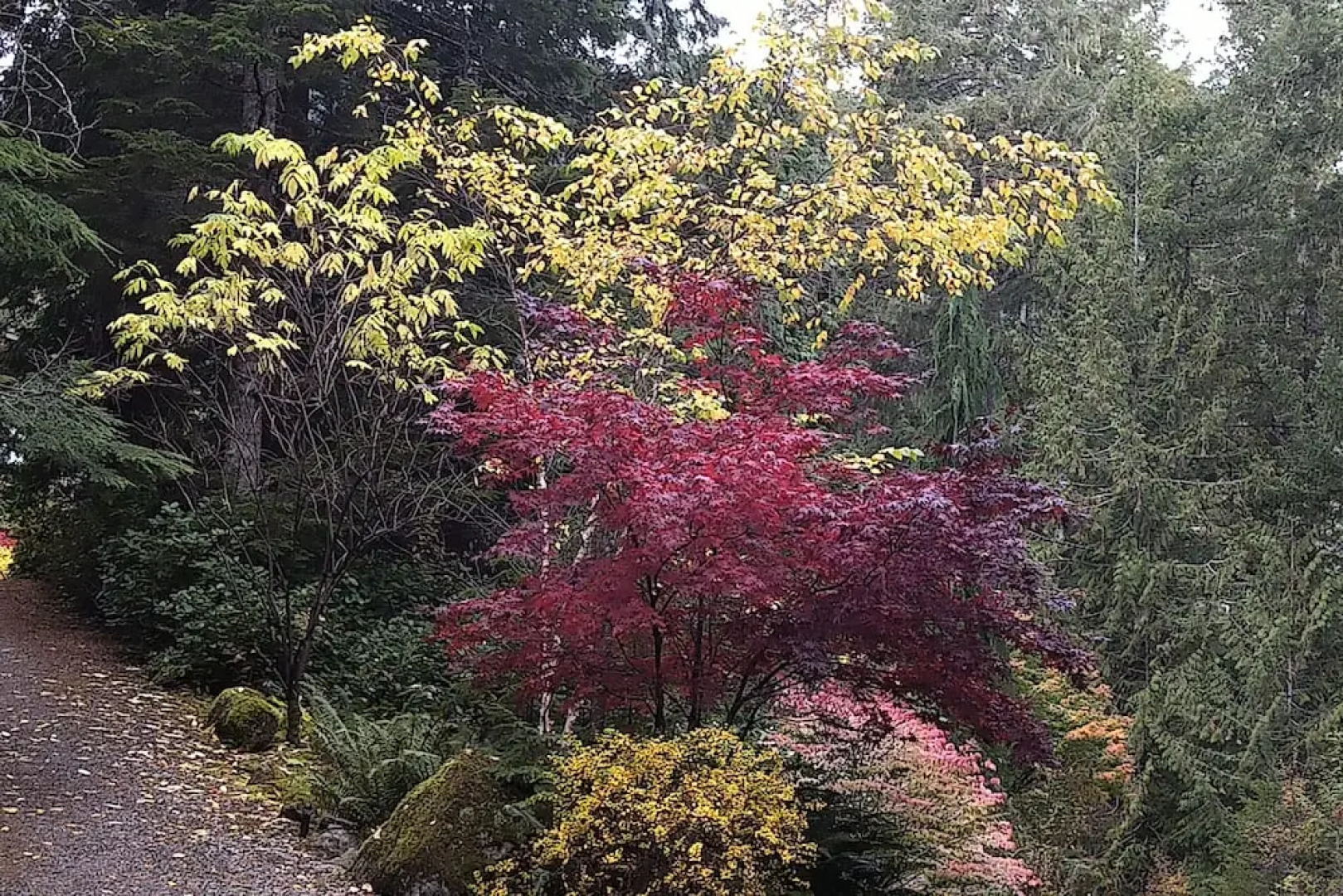 The Perch at Moon Dance