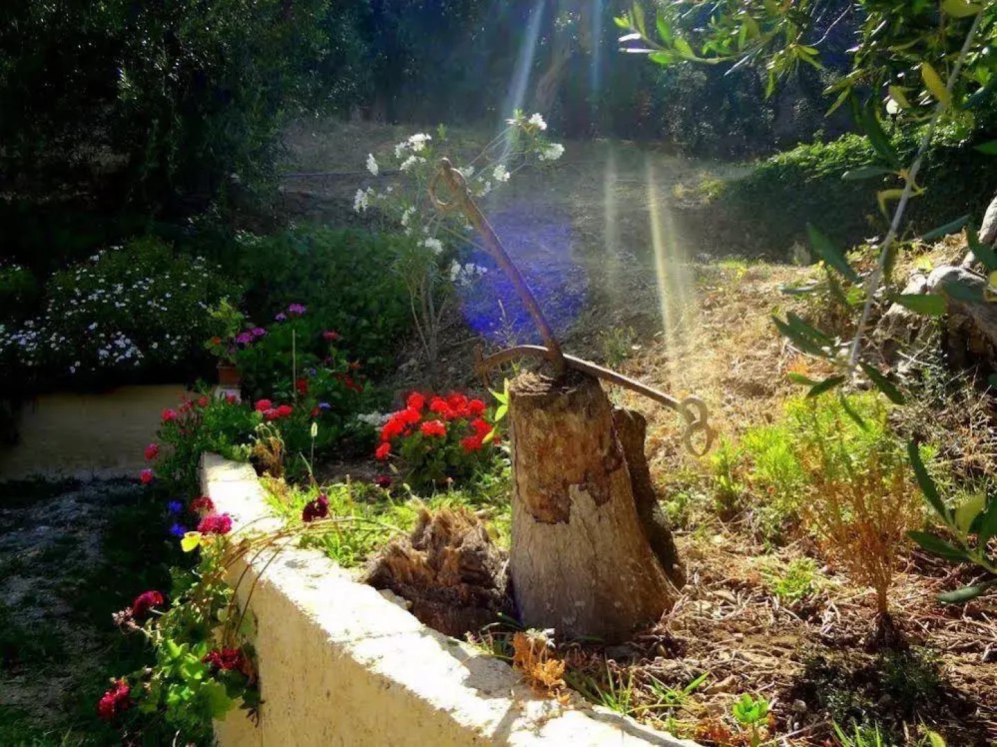 Veroniki Studios & Apartments