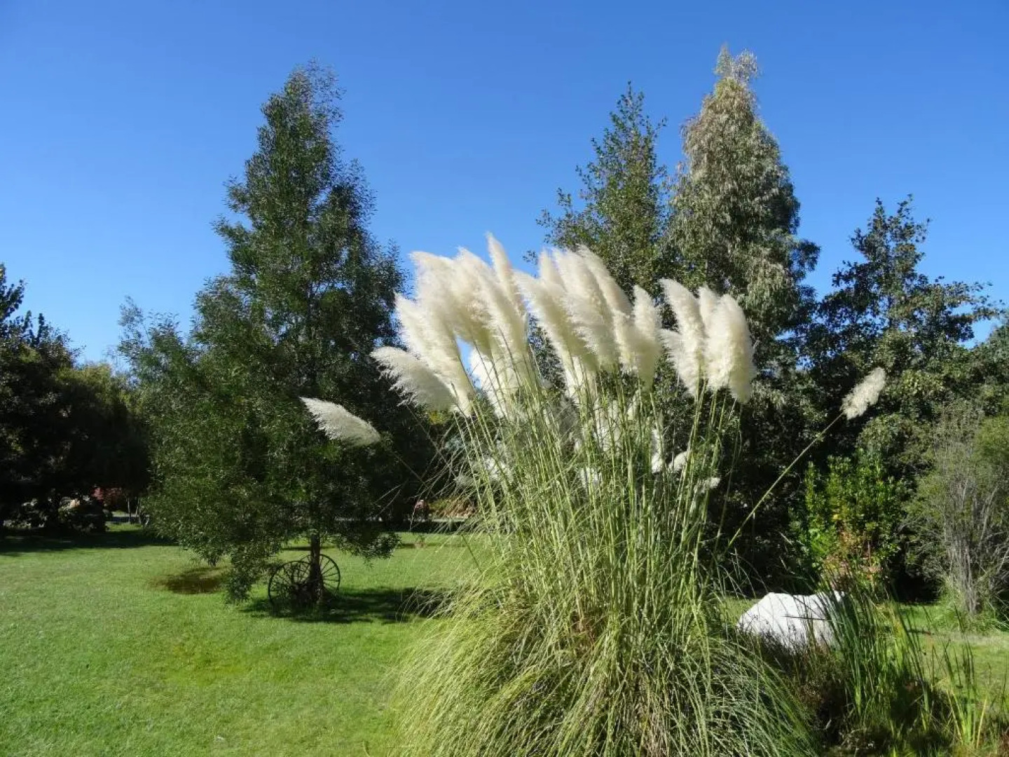 Cabañas Parque Salto del Laja