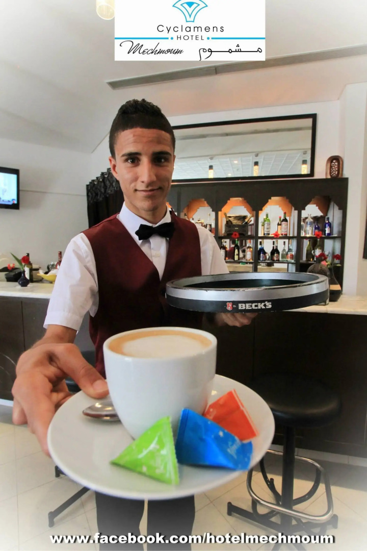 Cyclamens Hotel Mechmoum