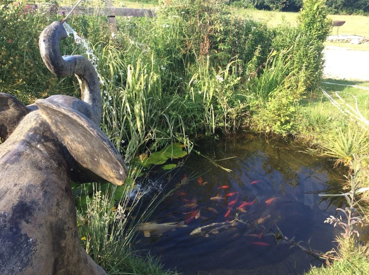 Roulotte de la Scea Ecurie Barre