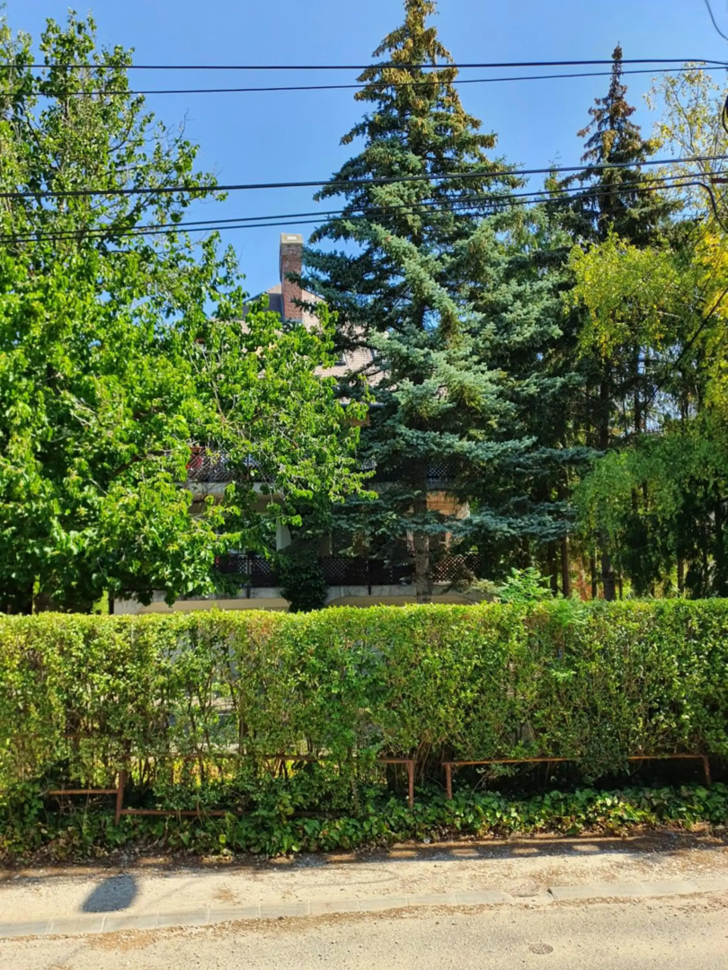 Zöld Relax Apartments