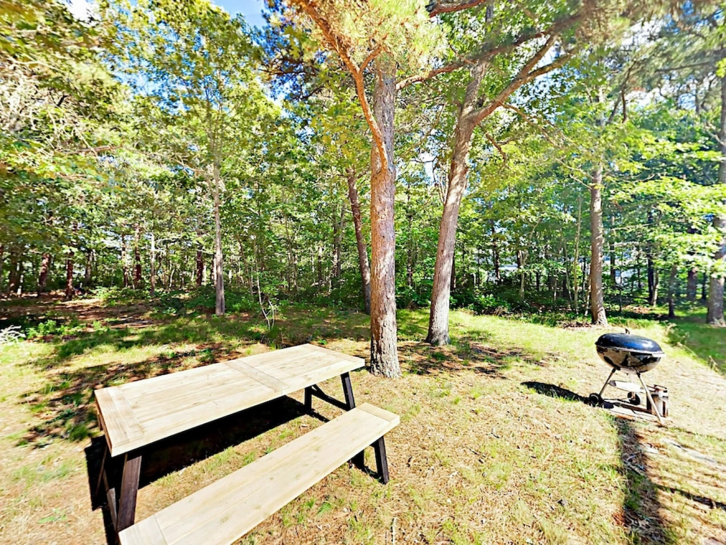 Eastham Gem Home 4 Bedrooms 1.5 Bathroom Home