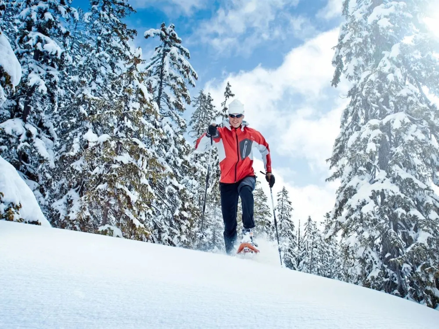 Modern Apartment in Werfenweng With Sauna
