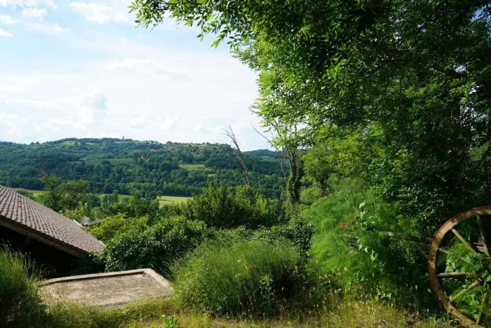 Le Mûrier de Viels