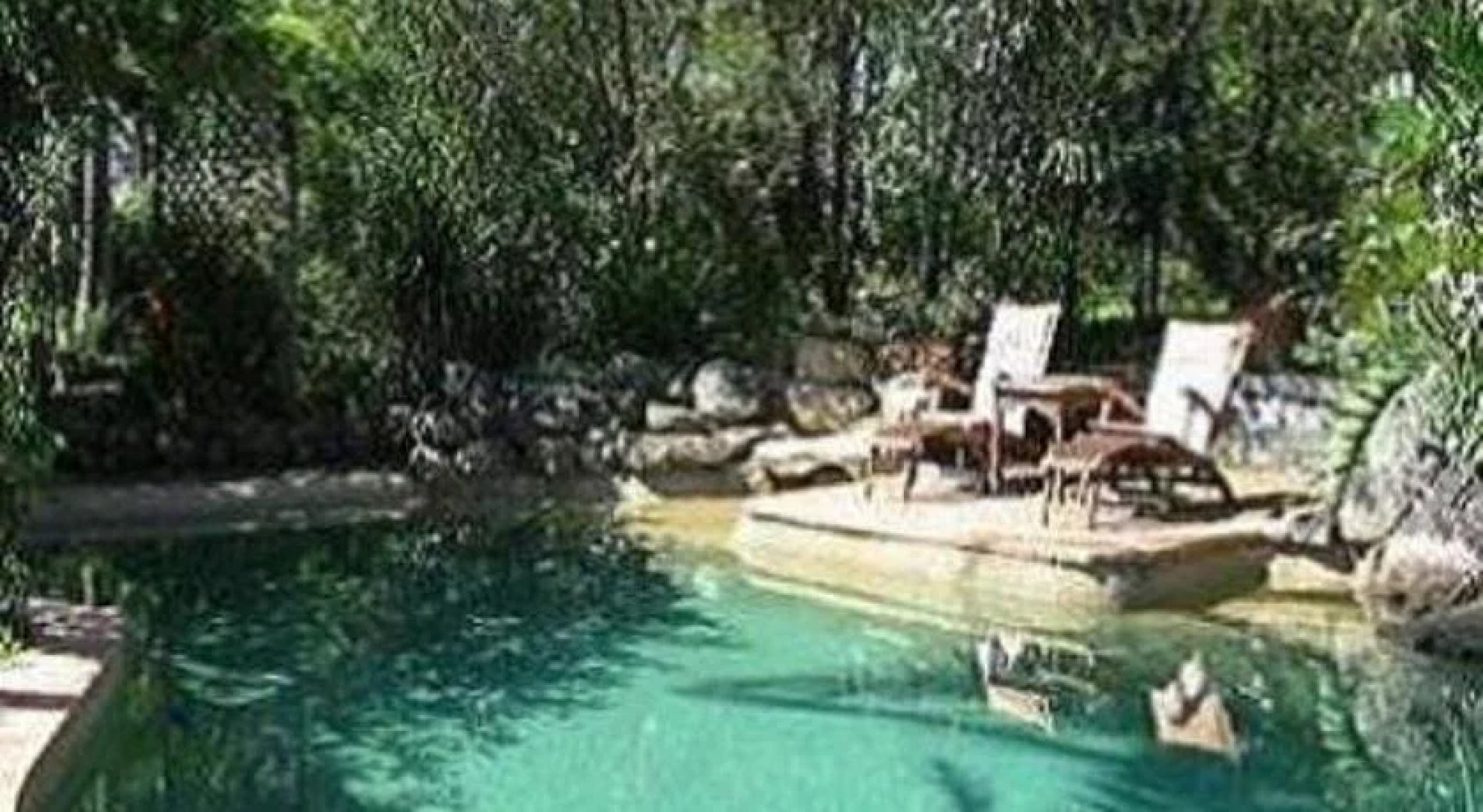 Lavender Grove Farm Bb