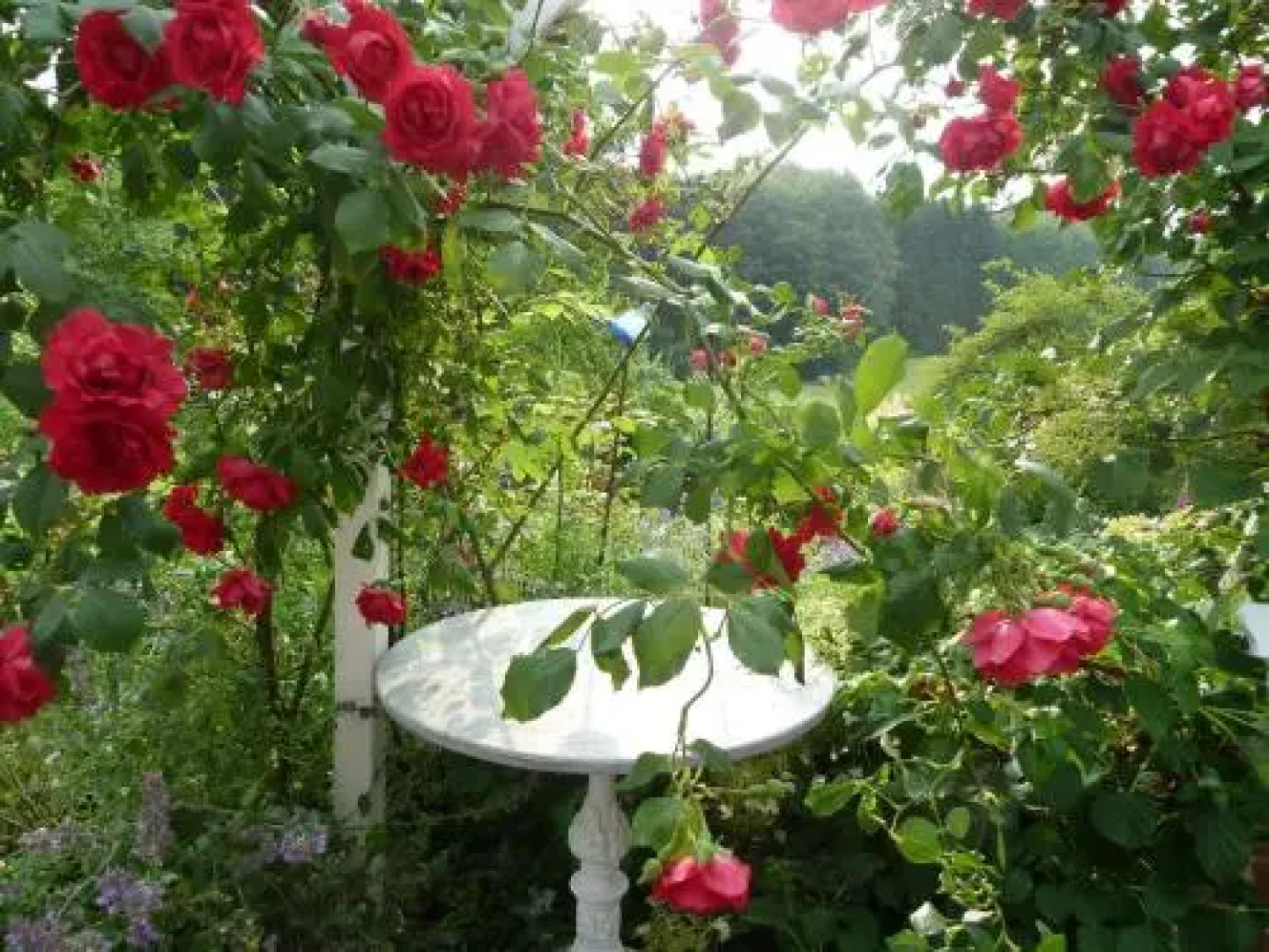 Gästehaus bei Veronica