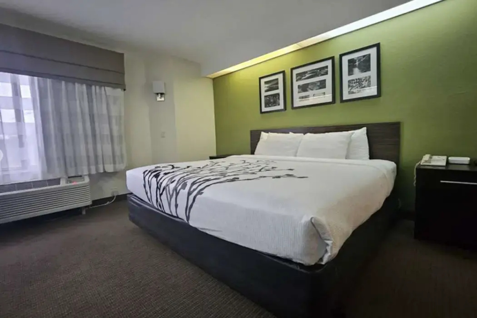 SureStay by Best Western Summerville Flowertown