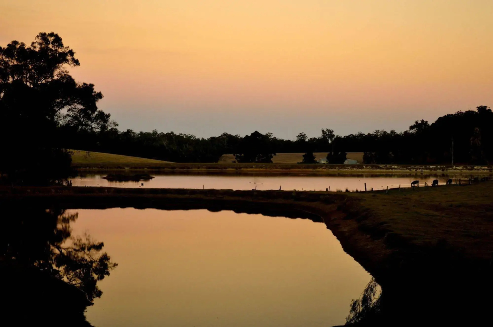 Diamond Forest Farm Stay