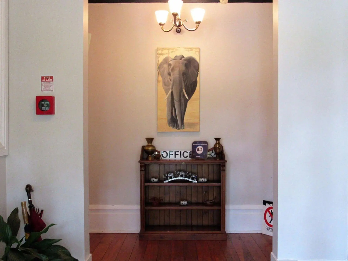 The White Elephant Accommodation - Hostel