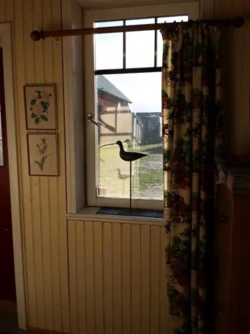 Hästen och Hunden B&B