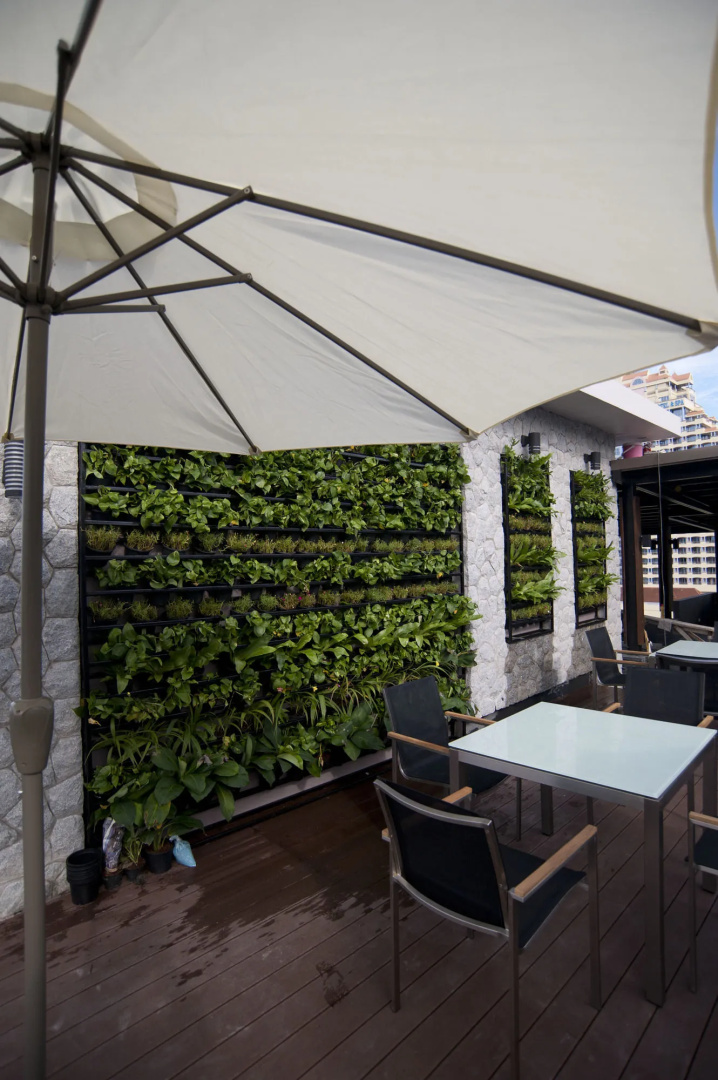 Отель The Gig Hotel