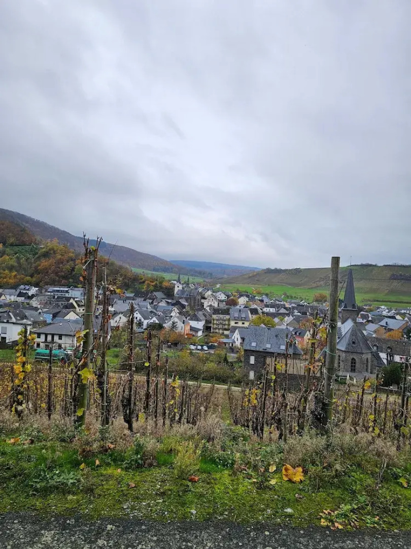Apartment in Veldenz With Balcony