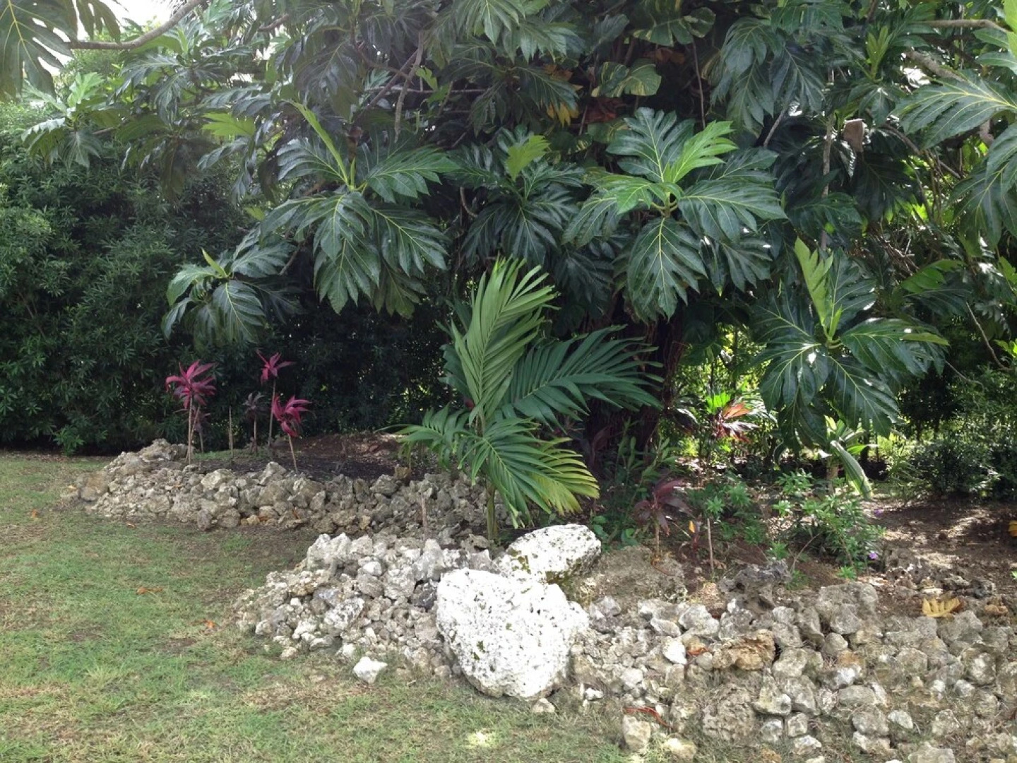 West Coast Apartment Motel