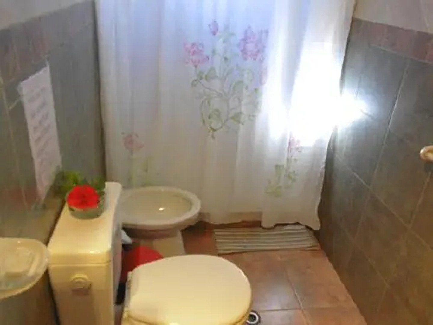 Los Abedules Bungalow