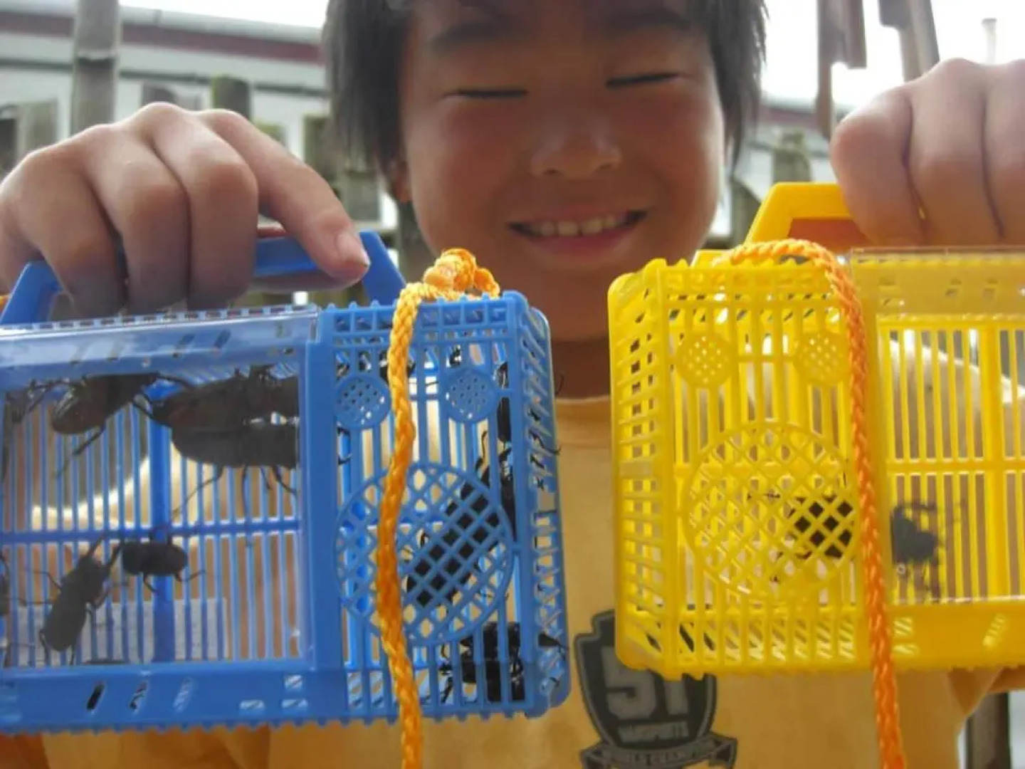 Cottage Izu,Com - Vacation Stay 07073V