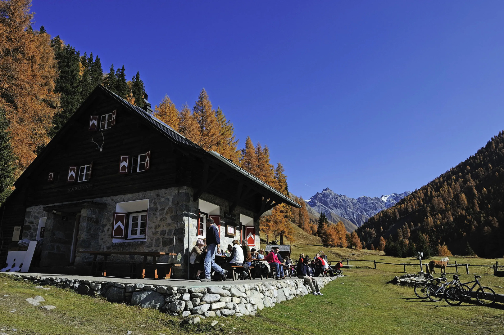 Hotel Rosatsch Sleep Only