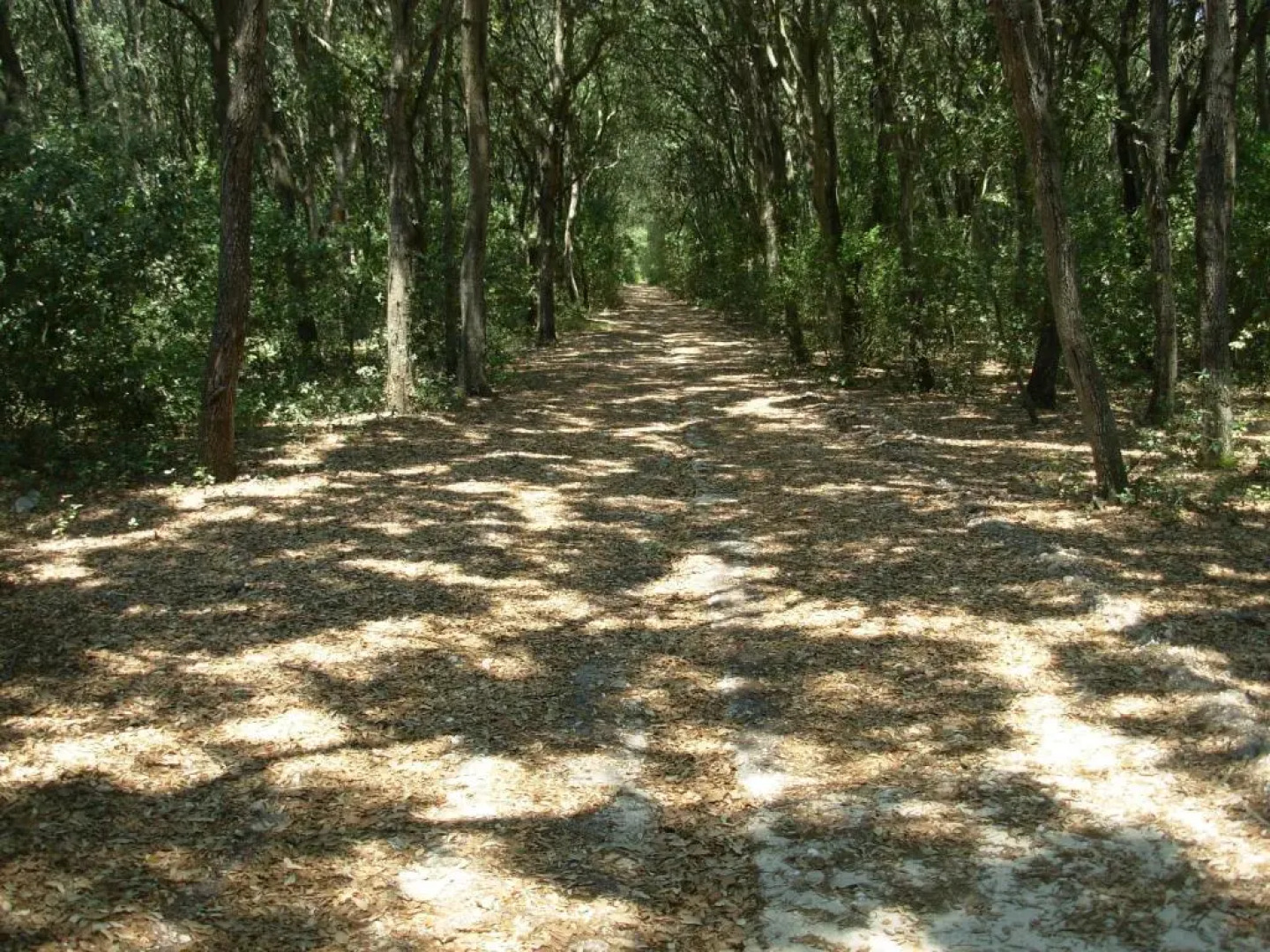 Masseria Bosco Mazza