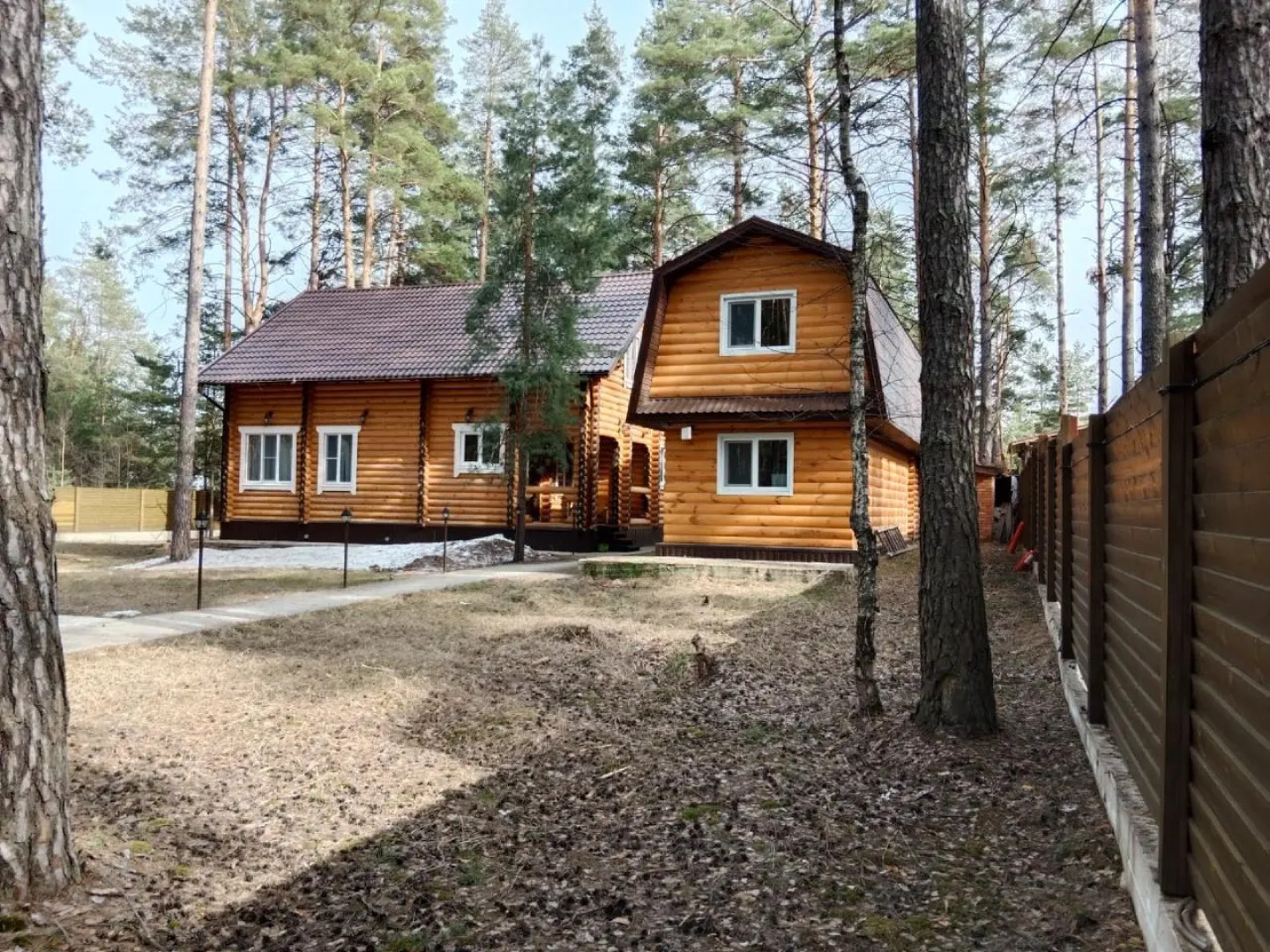 Мелодия леса