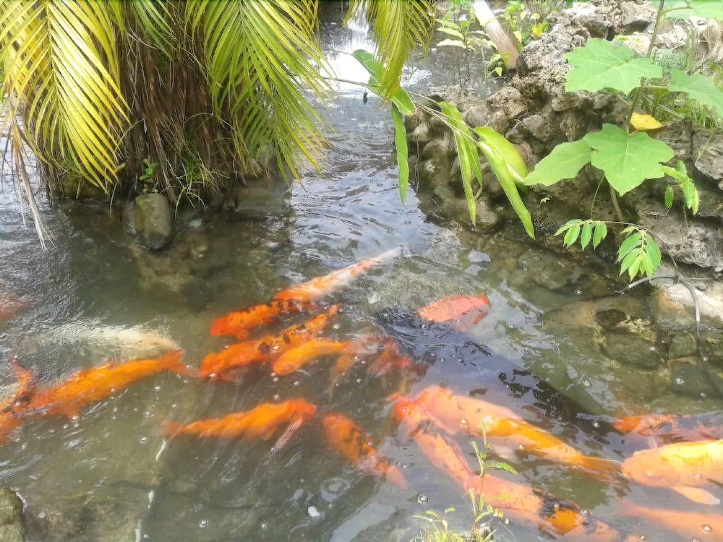 Enchanted Waters Hotel