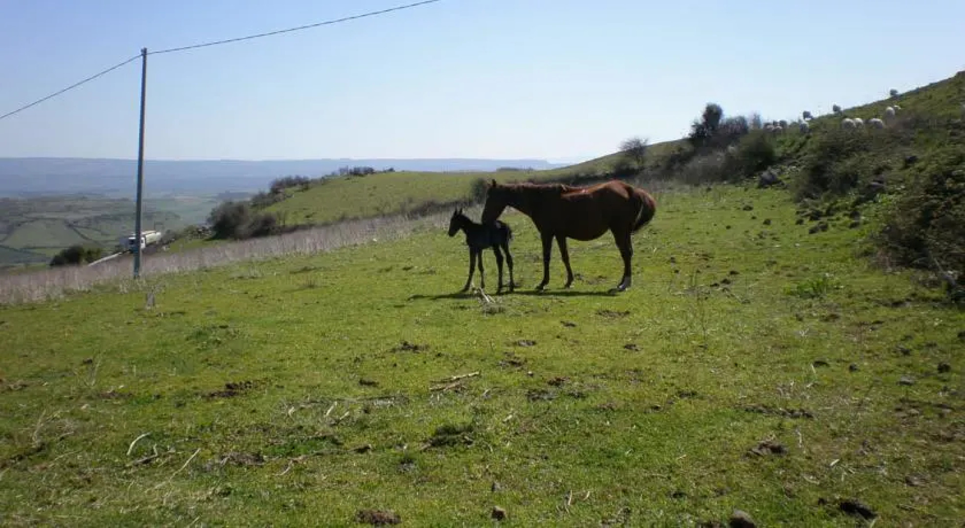 Agriturismo Montealma