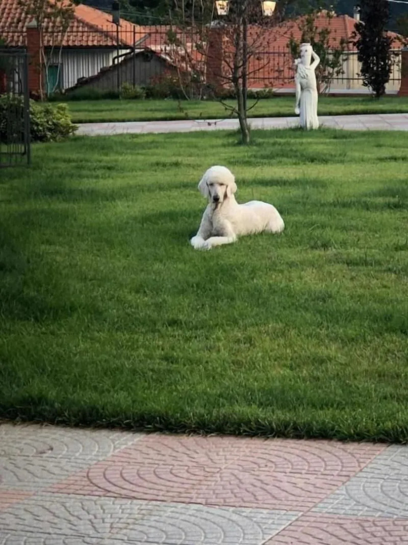 Locanda Costa Otto.Zero