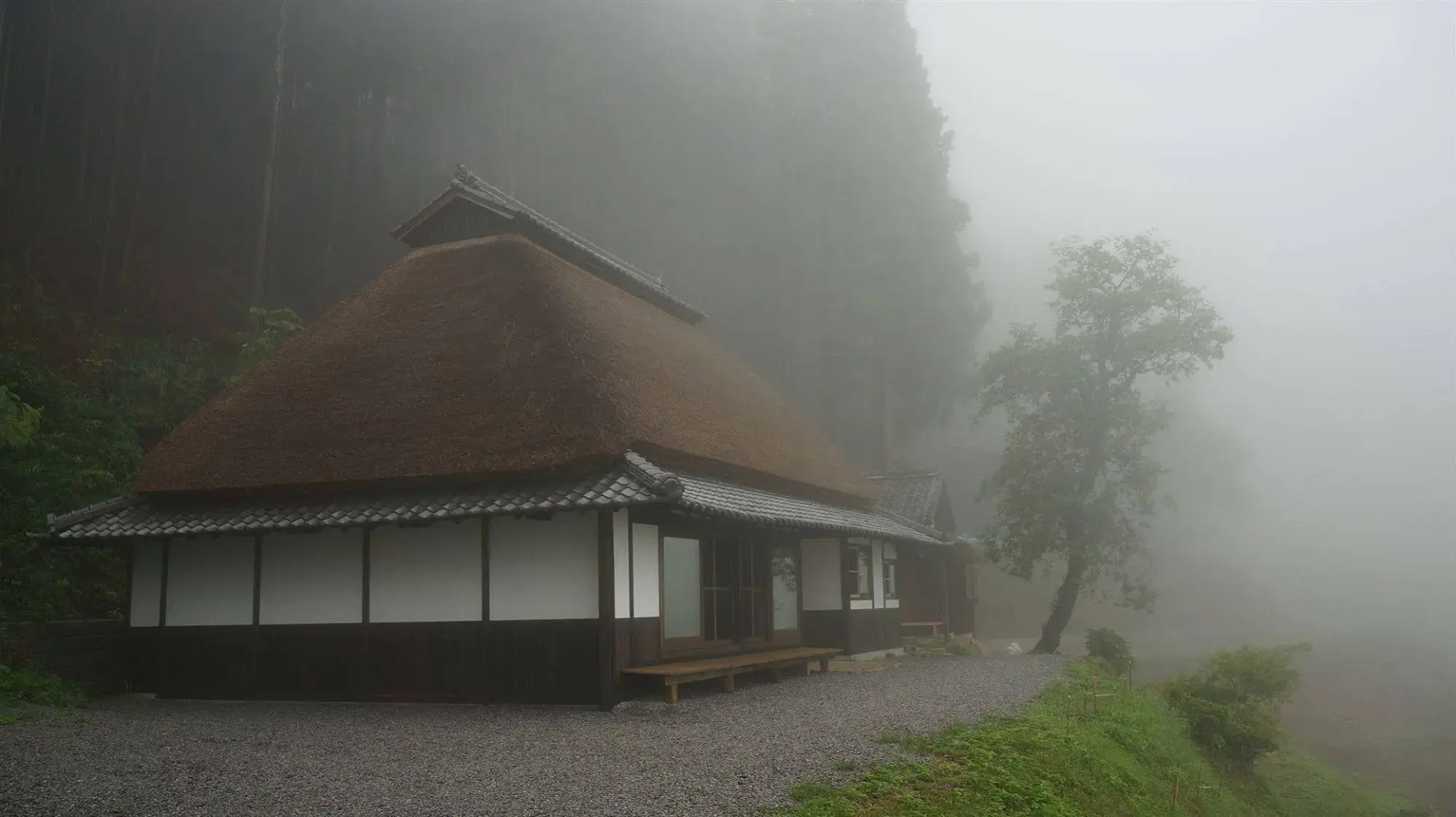 Sasayuri-Ann