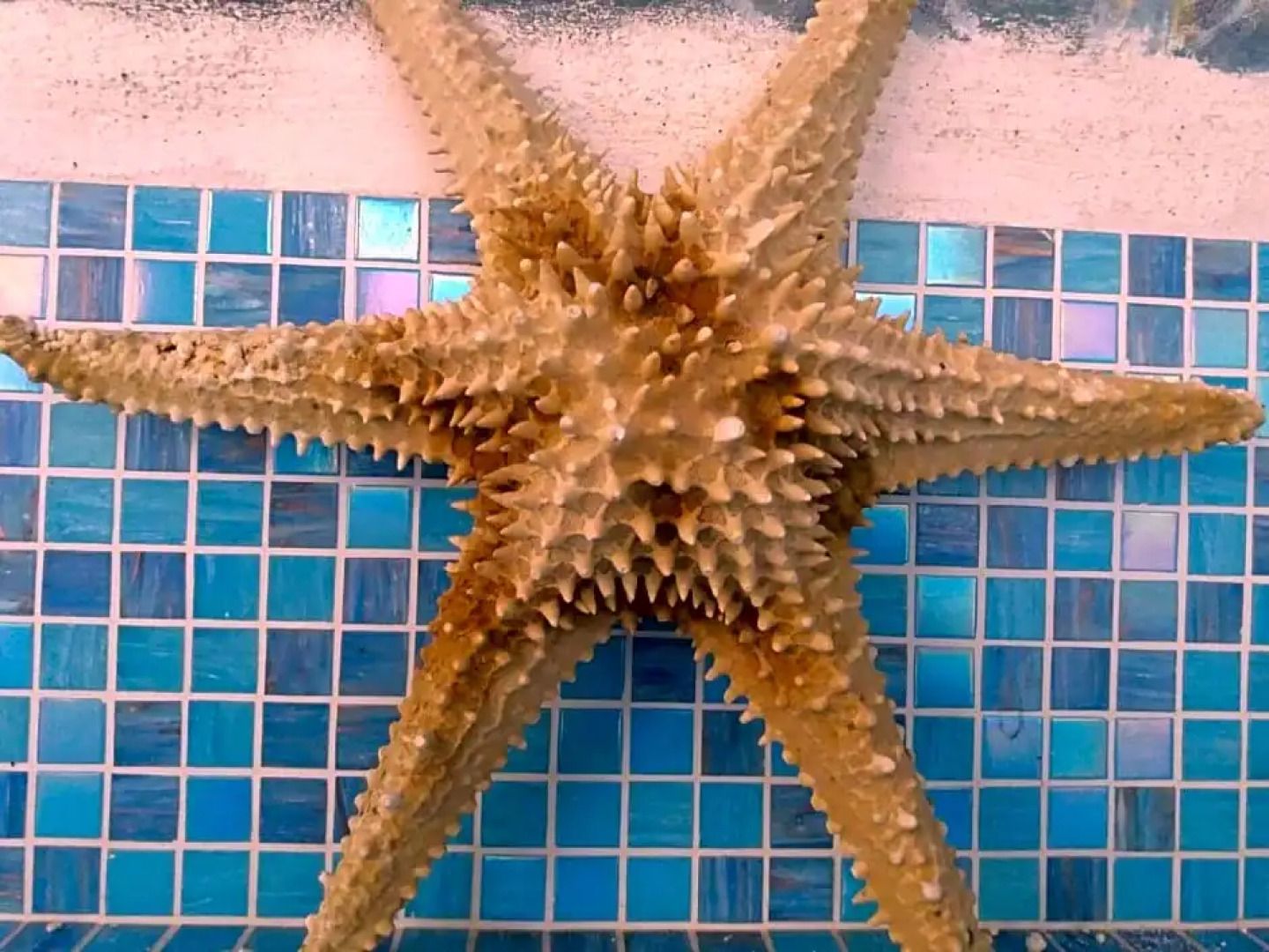 B&B Lo Spazio Magico