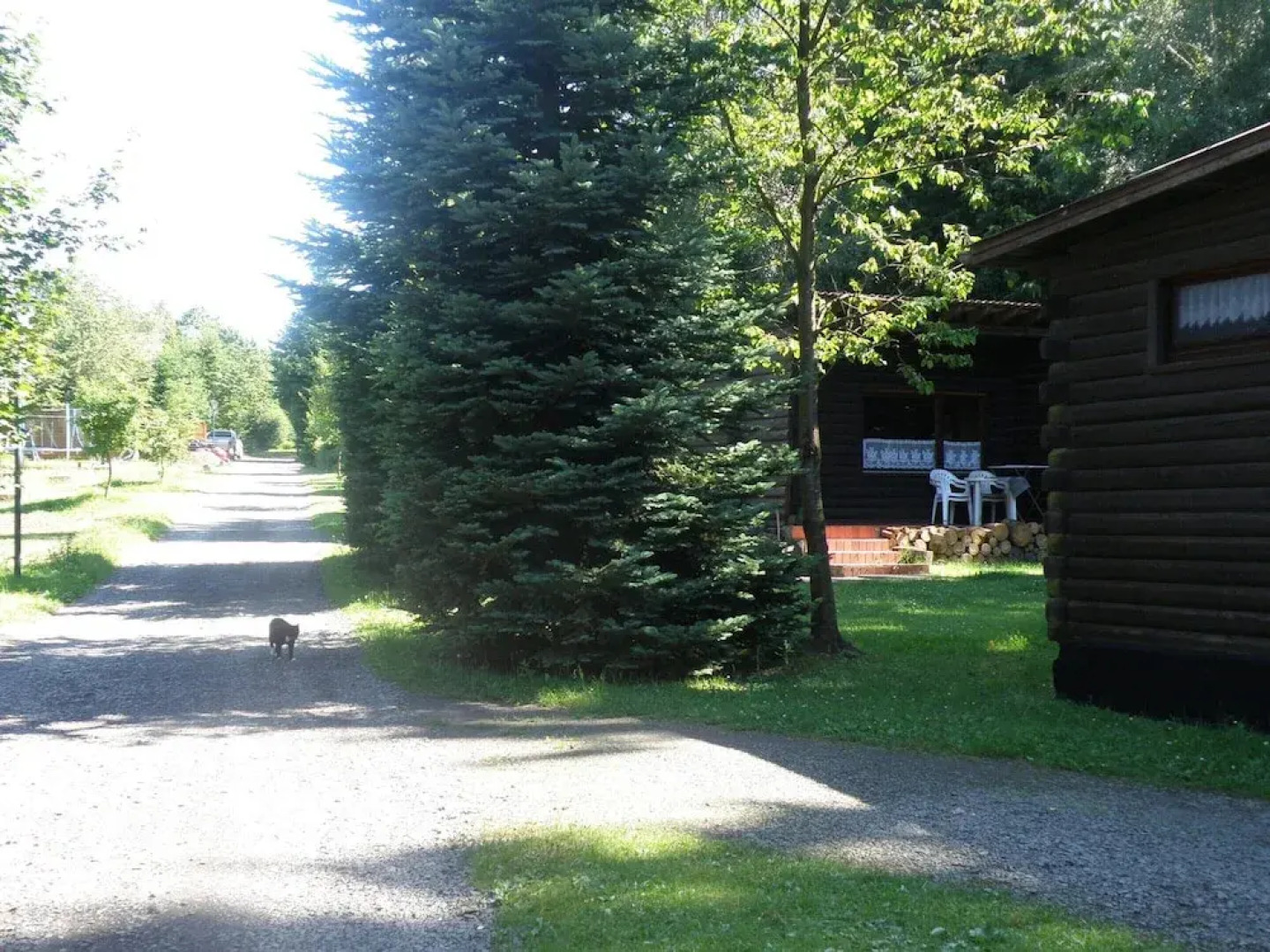 Tidy Furnished Wooden Chalet near Forest