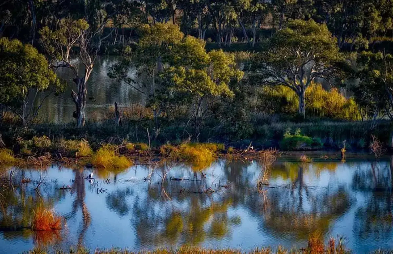 Romantic Getaways at Riverview Rise Retreats