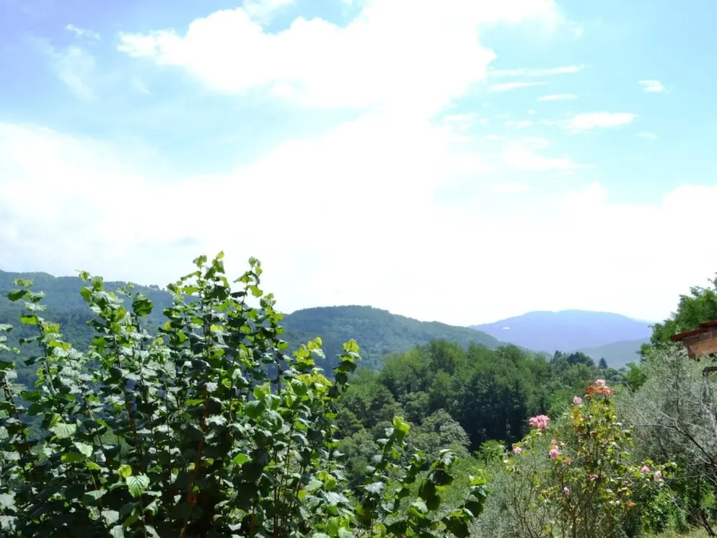 Villa in the Tuscan Hills: Relax in a Magnificent Landscape