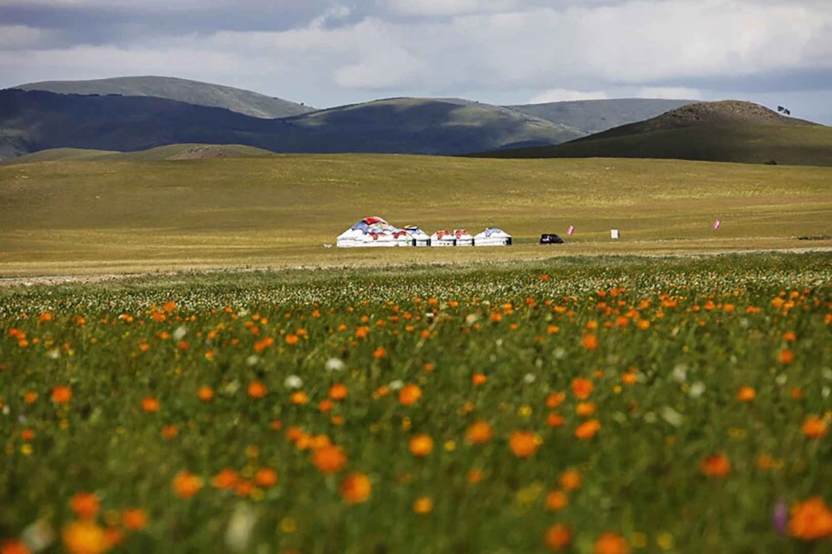 Xilingol Auspicious Horses