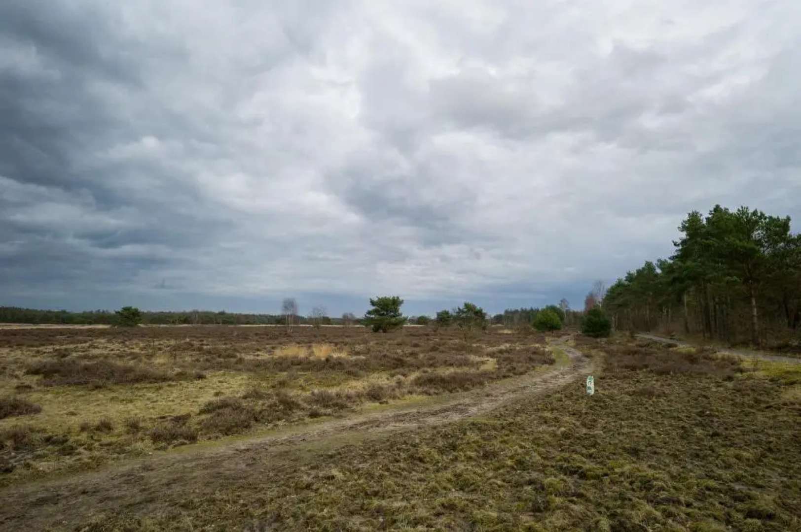 Wonderful place on a quiet spot in the middle of the Netherlands